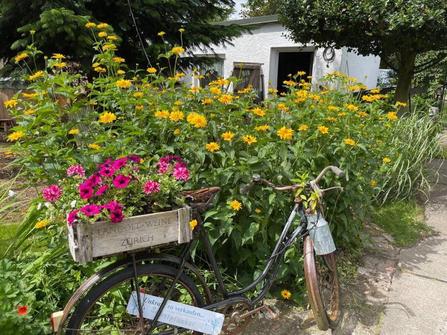 Tiny House Ostsee # Naturwerk Pruchten Luaran gambar