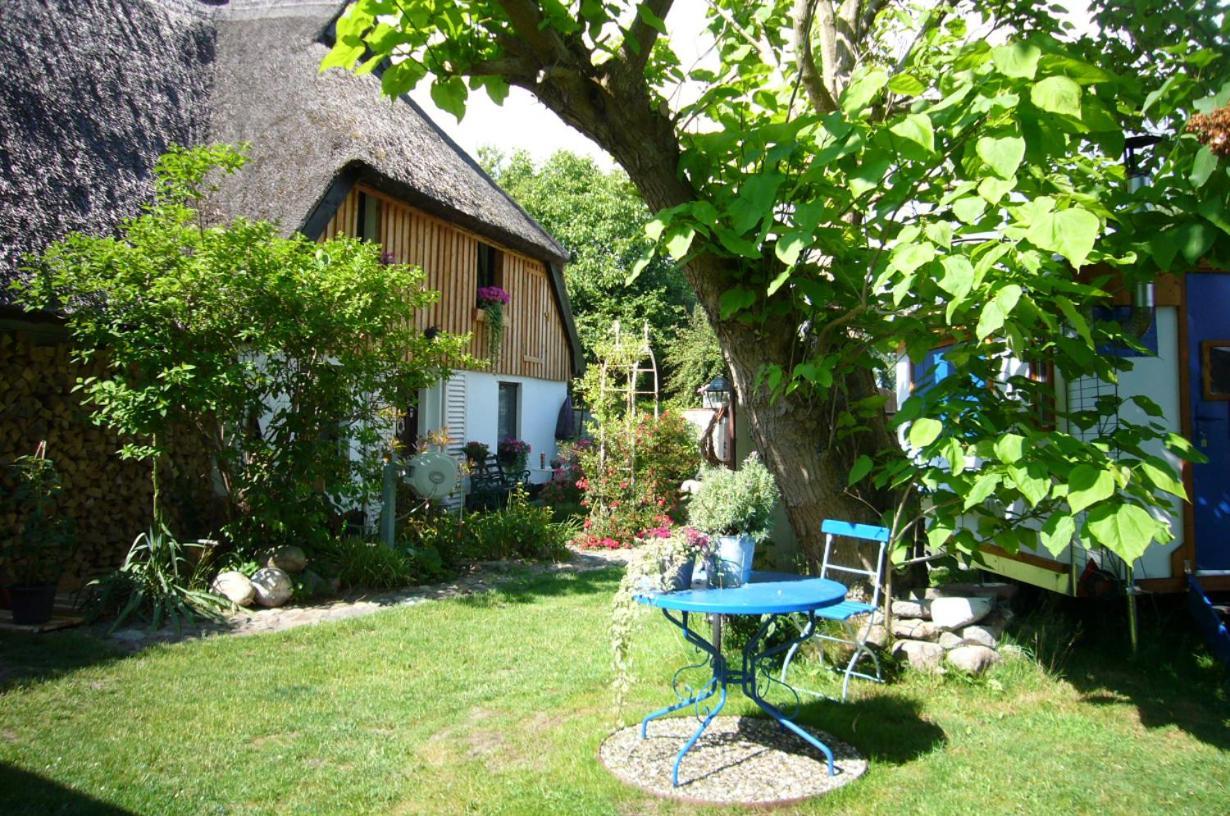 Tiny House Ostsee # Naturwerk Pruchten Luaran gambar