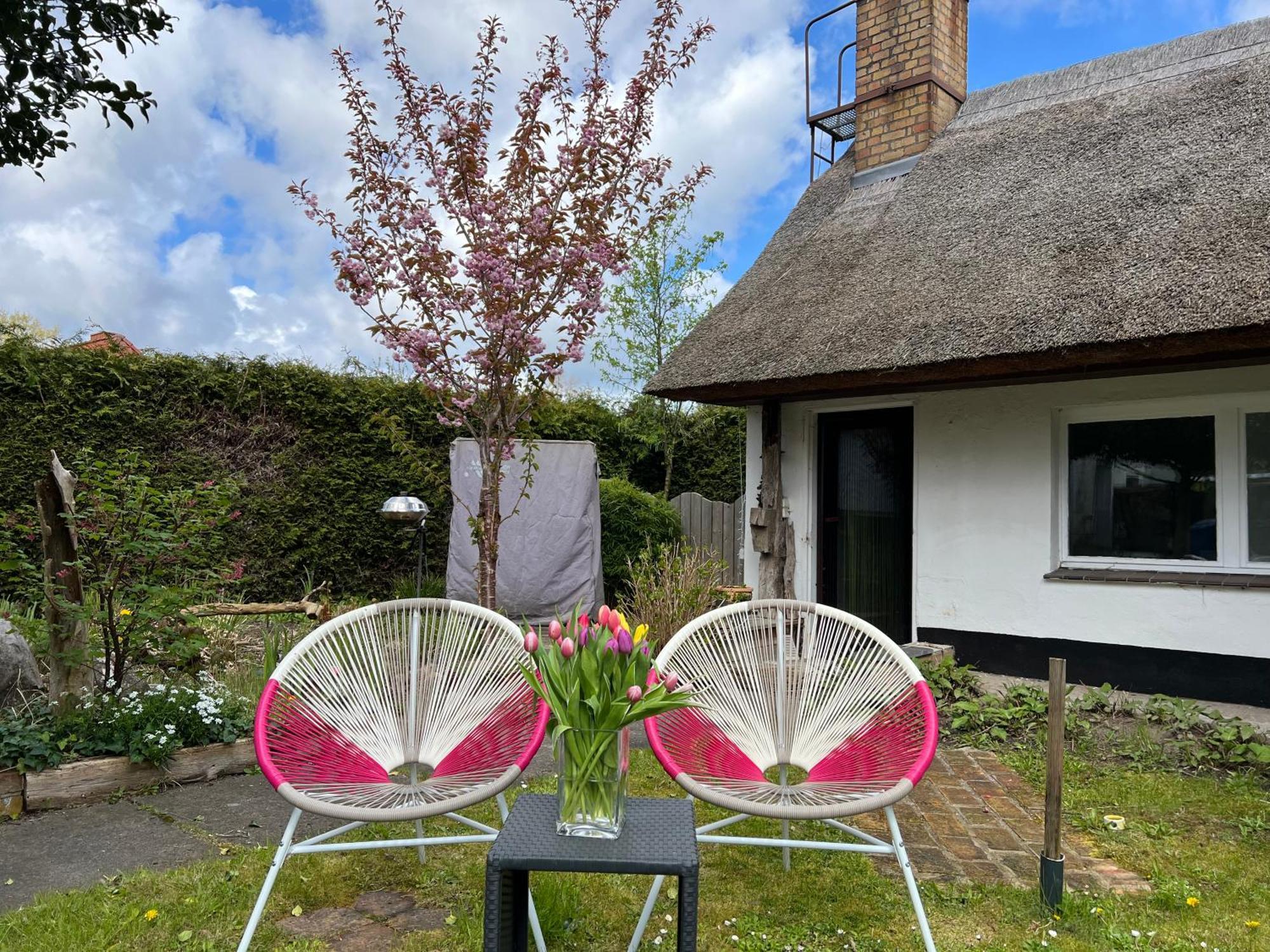 Tiny House Ostsee # Naturwerk Pruchten Luaran gambar