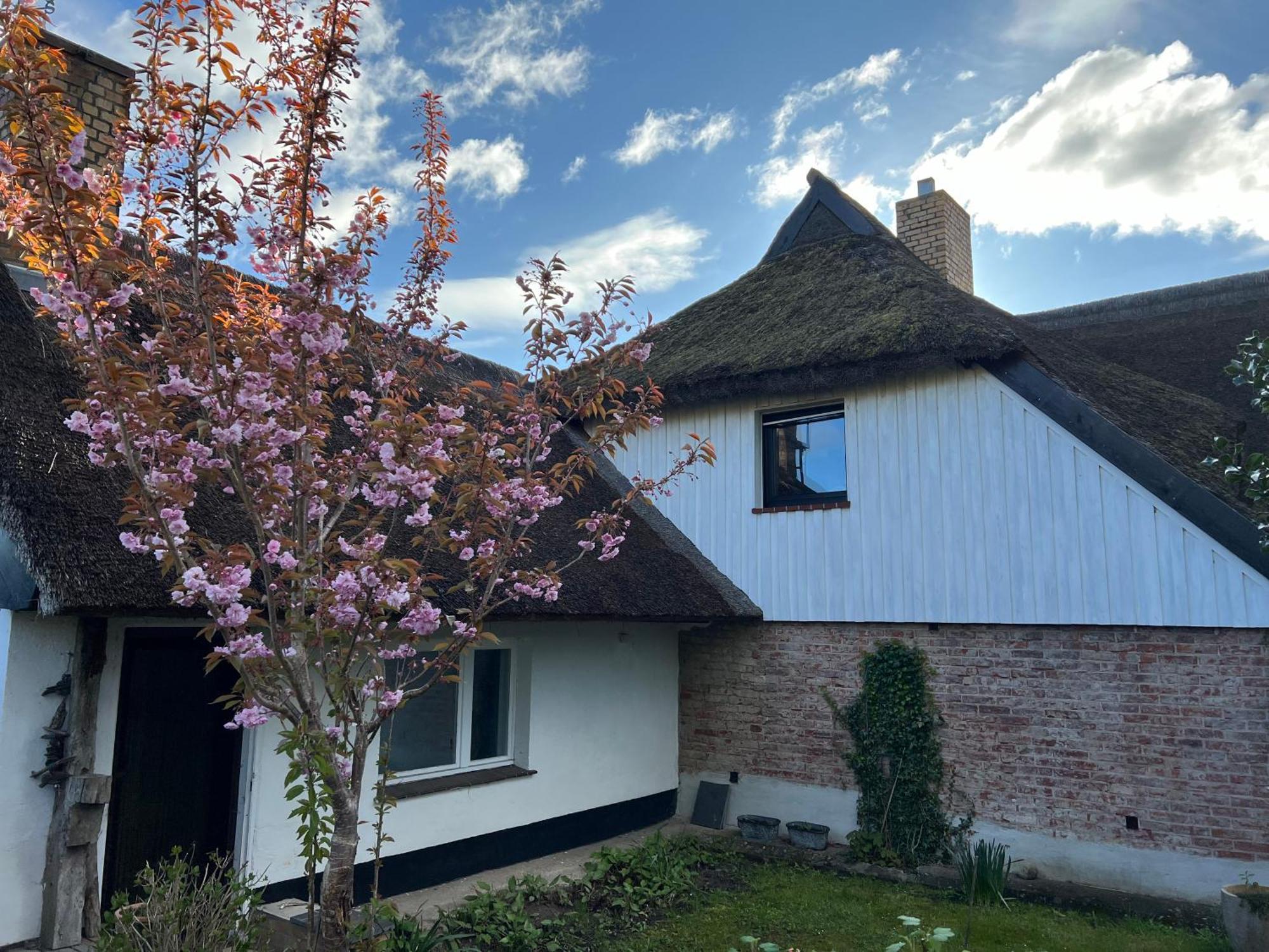 Tiny House Ostsee # Naturwerk Pruchten Luaran gambar